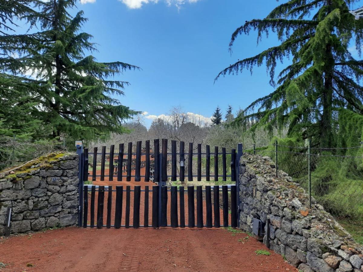 Casa Etna Villa Bronte Exteriör bild